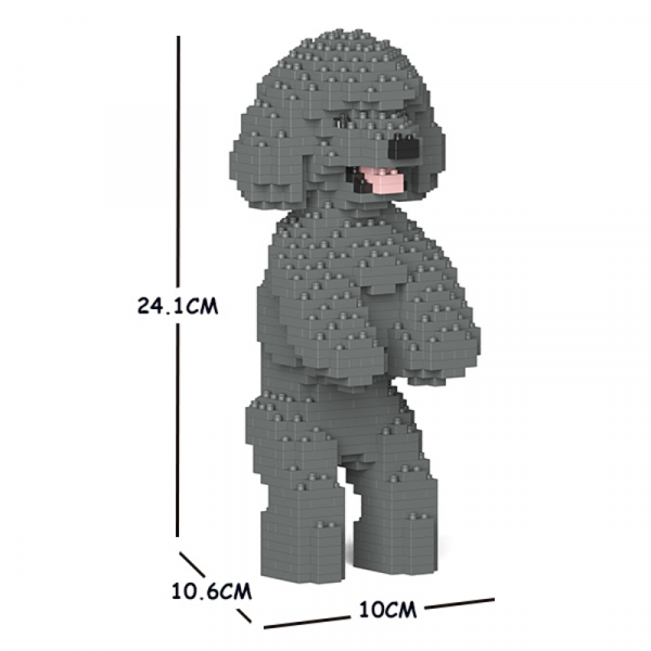 Toy Poodle standing + grey