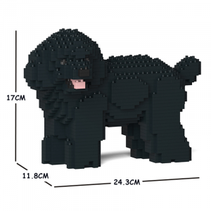 Toy Poodle black