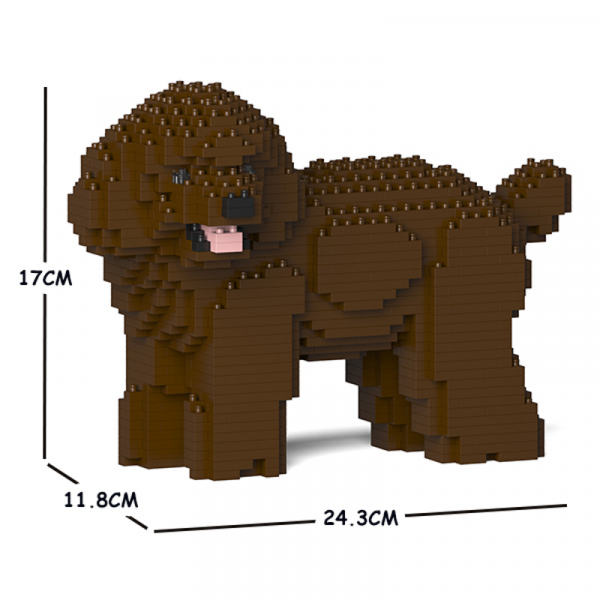 Toy Poodle brown