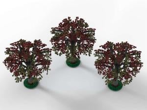 Beech trees, set of 3