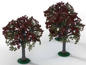 Beech trees, set of 3