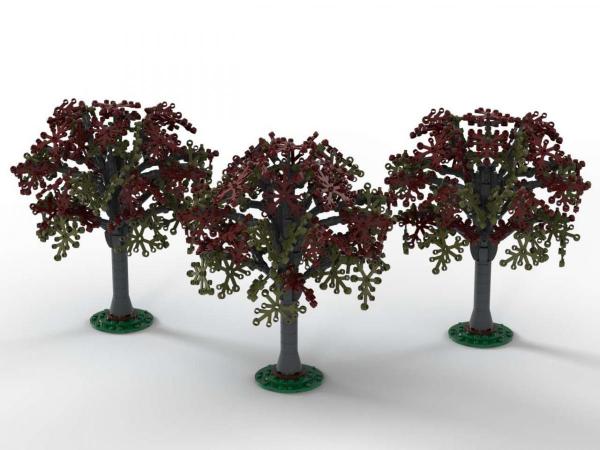 Beech trees, set of 3