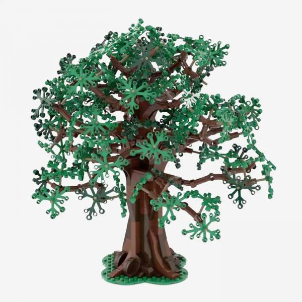 Oak tree
