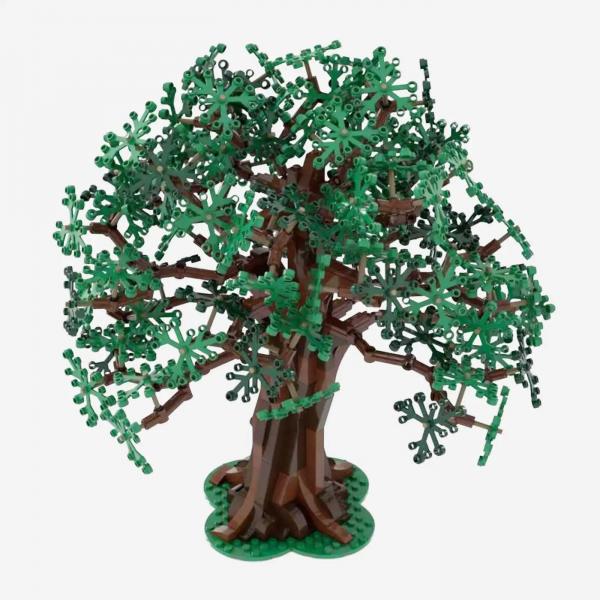 Oak tree