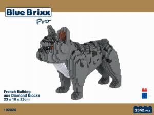 Französische Bulldogge, Hund