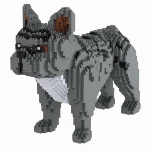 Französische Bulldogge, Hund