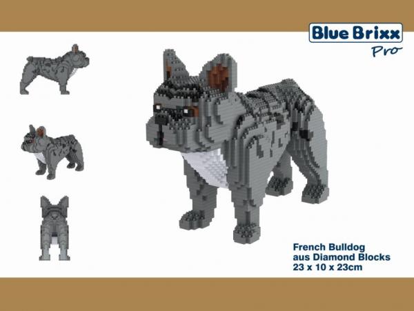 Französische Bulldogge, Hund