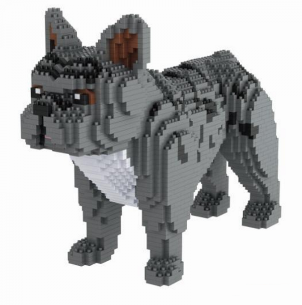 Französische Bulldogge, Hund