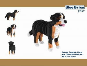 Berner Sennenhund