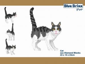 Katze gestreift, grau/weiß