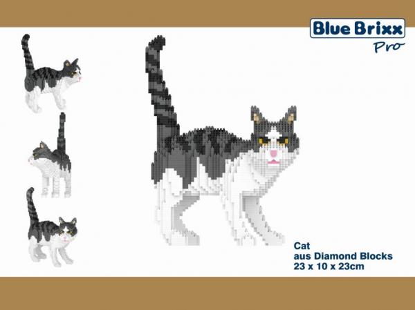 Katze gestreift, grau/weiß