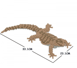 Bearded Dragon 01S