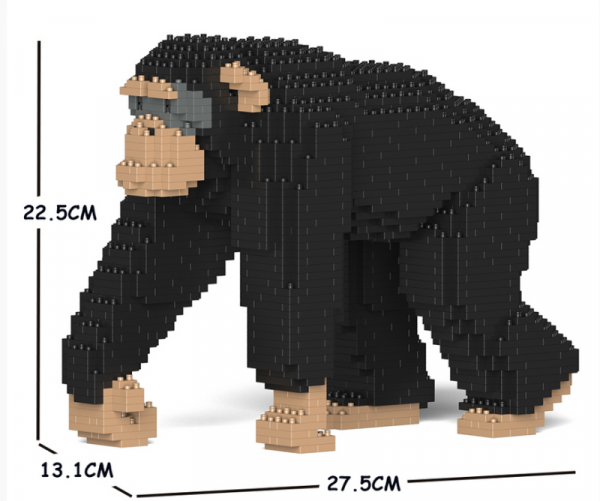 Schimpanse 02S