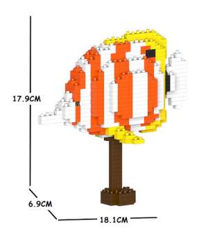 Copper Banded Butterflyfish 01S