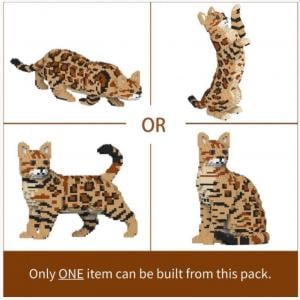 Bengalkatze  4-in-1 Pack