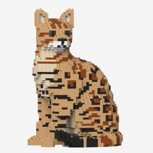 Bengalkatze  4-in-1 Pack