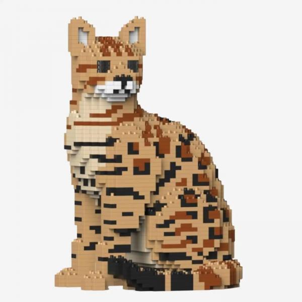 Bengalkatze  4-in-1 Pack