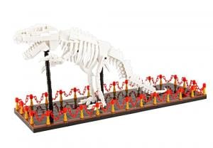  T-Rex Skeleton Display