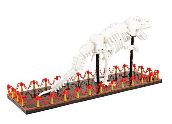  T-Rex Skelett Ausstellungsstück
