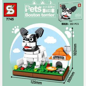 Boston Terrier