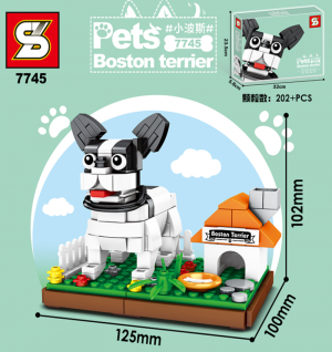 Boston Terrier