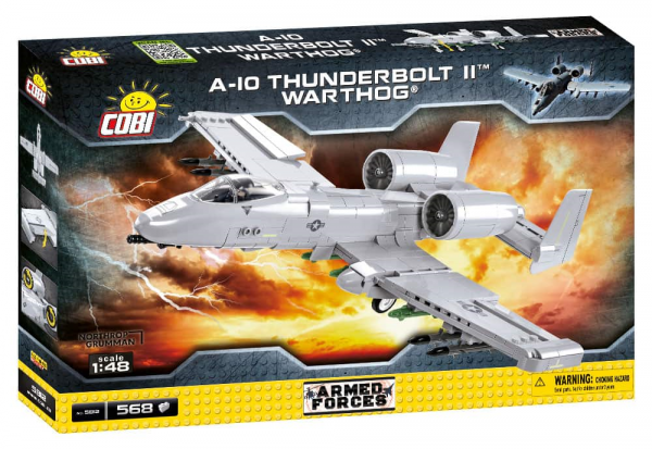  A10 Thunderbolt II Warthog