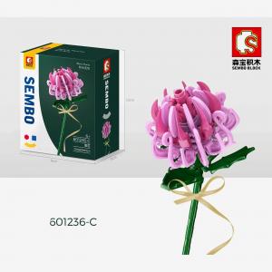Chrysanthemum in pink