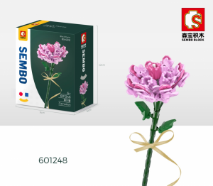 Carnation