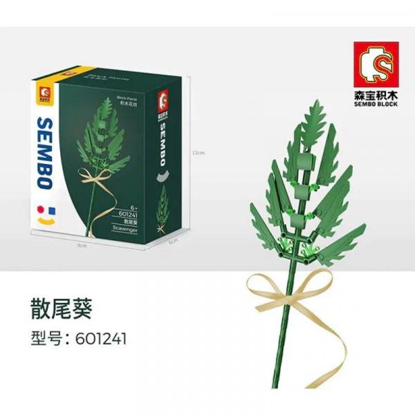 Sanwei Kwai (Fern)