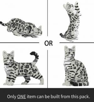 Bengalkatze  4-in-1 Pack 01S-M02