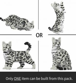 Bengalkatze 4in1 Pack