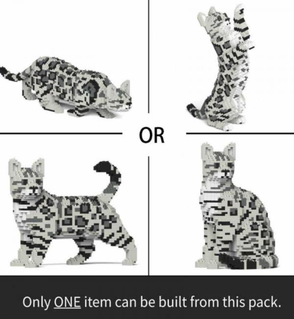 Bengal Cat 4in1 Pack 