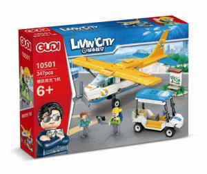 Sightseeing Plane