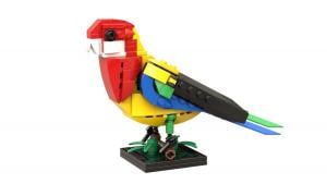 Eastern Rosella