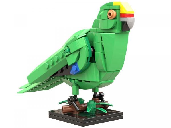 Parakeet