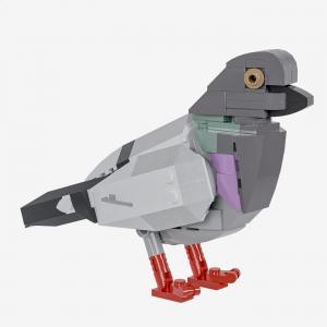 Rock Dove