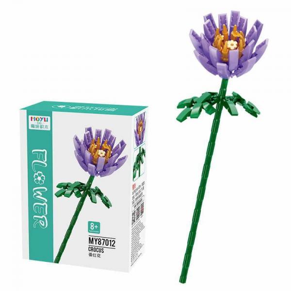 Crocus purple