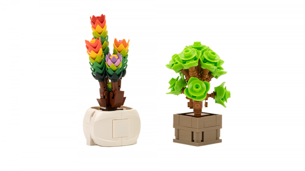 Seven Succulents - Variant 2