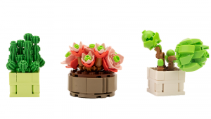 Seven Succulents - Variant 3