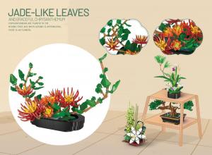 Jadeähnliche Blätter und anmutige Chrysantheme