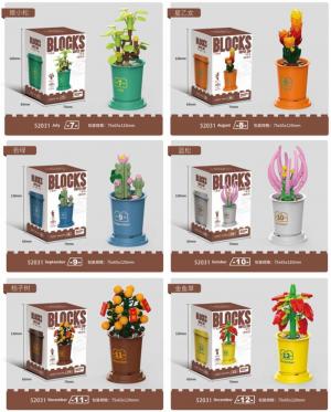 Flower assortment (12 different plants)