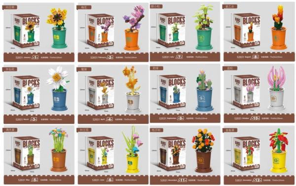 Blumen Sortiment (12 verschiedene Pflanzen)
