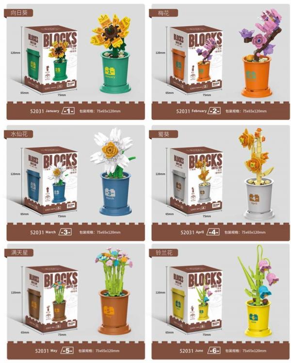 Flower assortment (12 different plants)