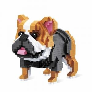 Englische Bulldogge (diamond blocks) 