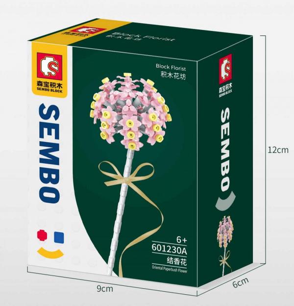 Orientalische Papierbuschblüte 