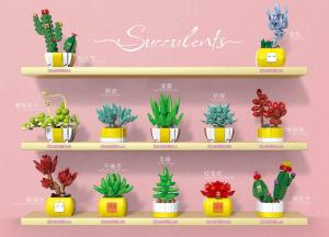 Succulents