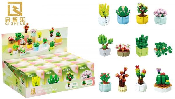 Succulents  (12 different sets)