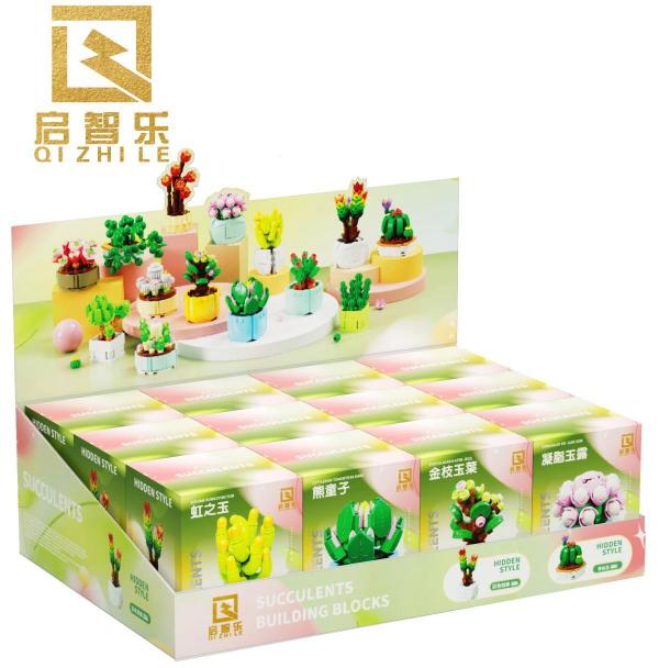 Succulents  (12 different sets)