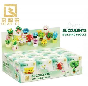 Succulents (12 different sets)