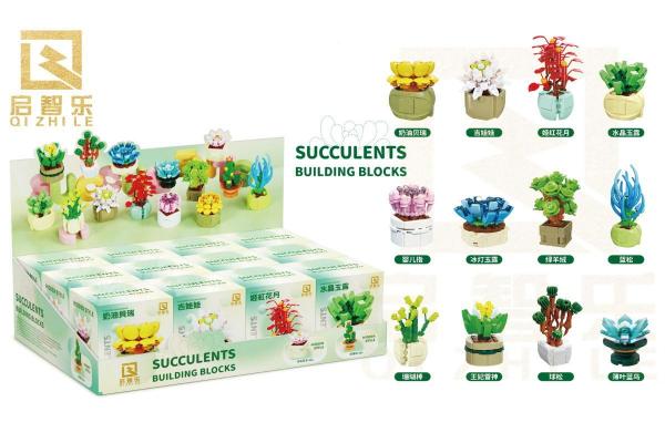 Succulents (12 different sets)